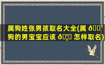 属狗姓张男孩取名大全(属 🌹 狗的男宝宝应该 🦊 怎样取名)